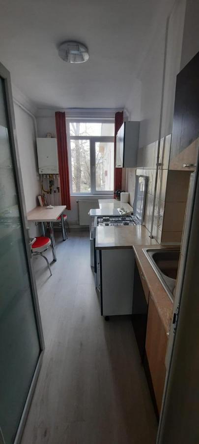 Apartament La Denis Bîrlad エクステリア 写真