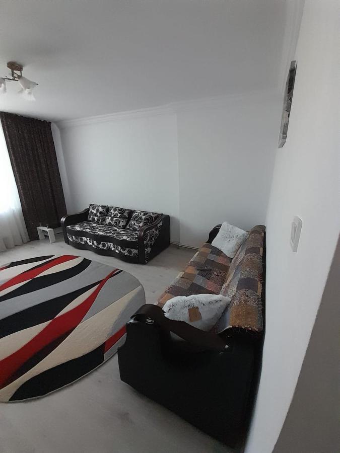Apartament La Denis Bîrlad エクステリア 写真