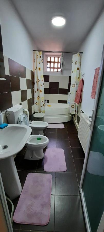 Apartament La Denis Bîrlad エクステリア 写真
