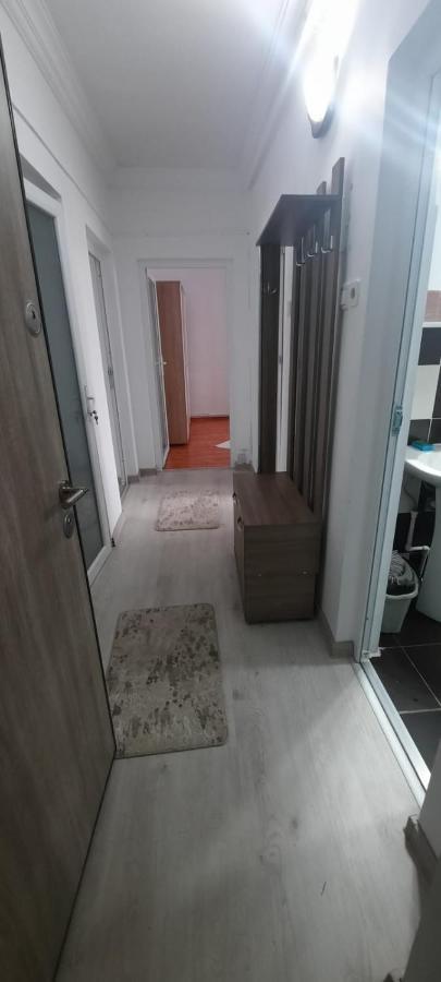 Apartament La Denis Bîrlad エクステリア 写真
