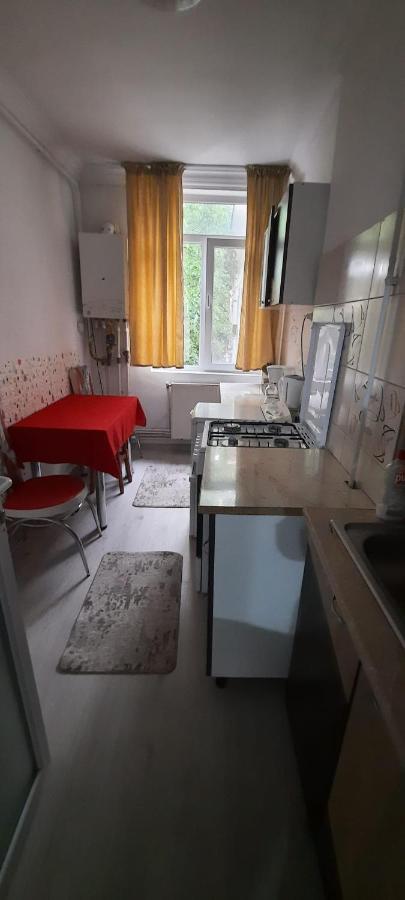 Apartament La Denis Bîrlad エクステリア 写真