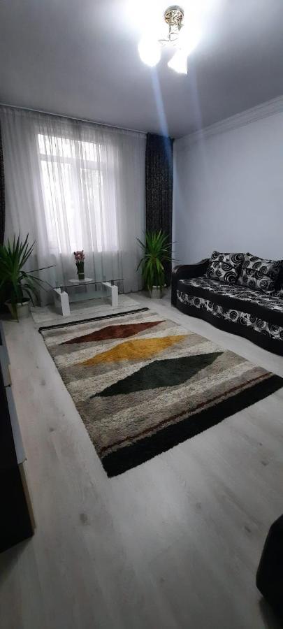 Apartament La Denis Bîrlad エクステリア 写真