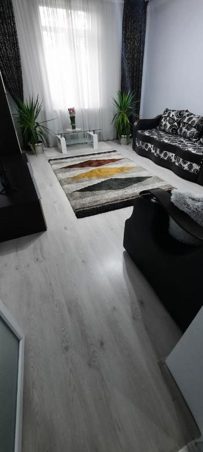 Apartament La Denis Bîrlad エクステリア 写真